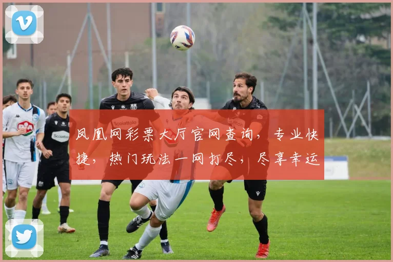 凤凰网彩票大厅官网查询,专业快捷,热门玩法一网打尽,尽享幸运时刻,轻松中奖三步走