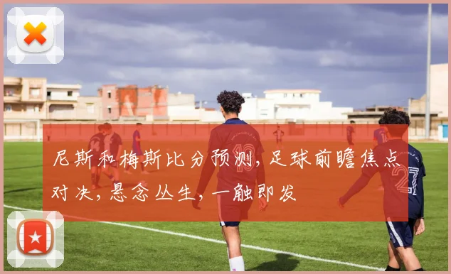 尼斯和梅斯比分预测,足球前瞻焦点对决,悬念丛生,一触即发